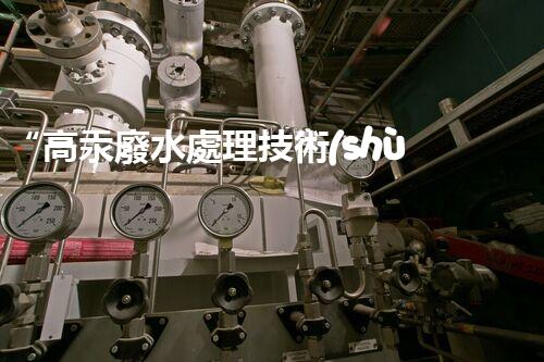 “高汞廢水處理技術(shù)，綠色環(huán)保新篇章”